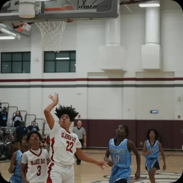 Performance insights